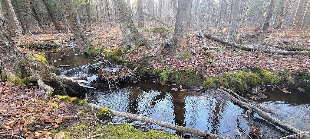 Lot 10 1 Breezy Hl Rd