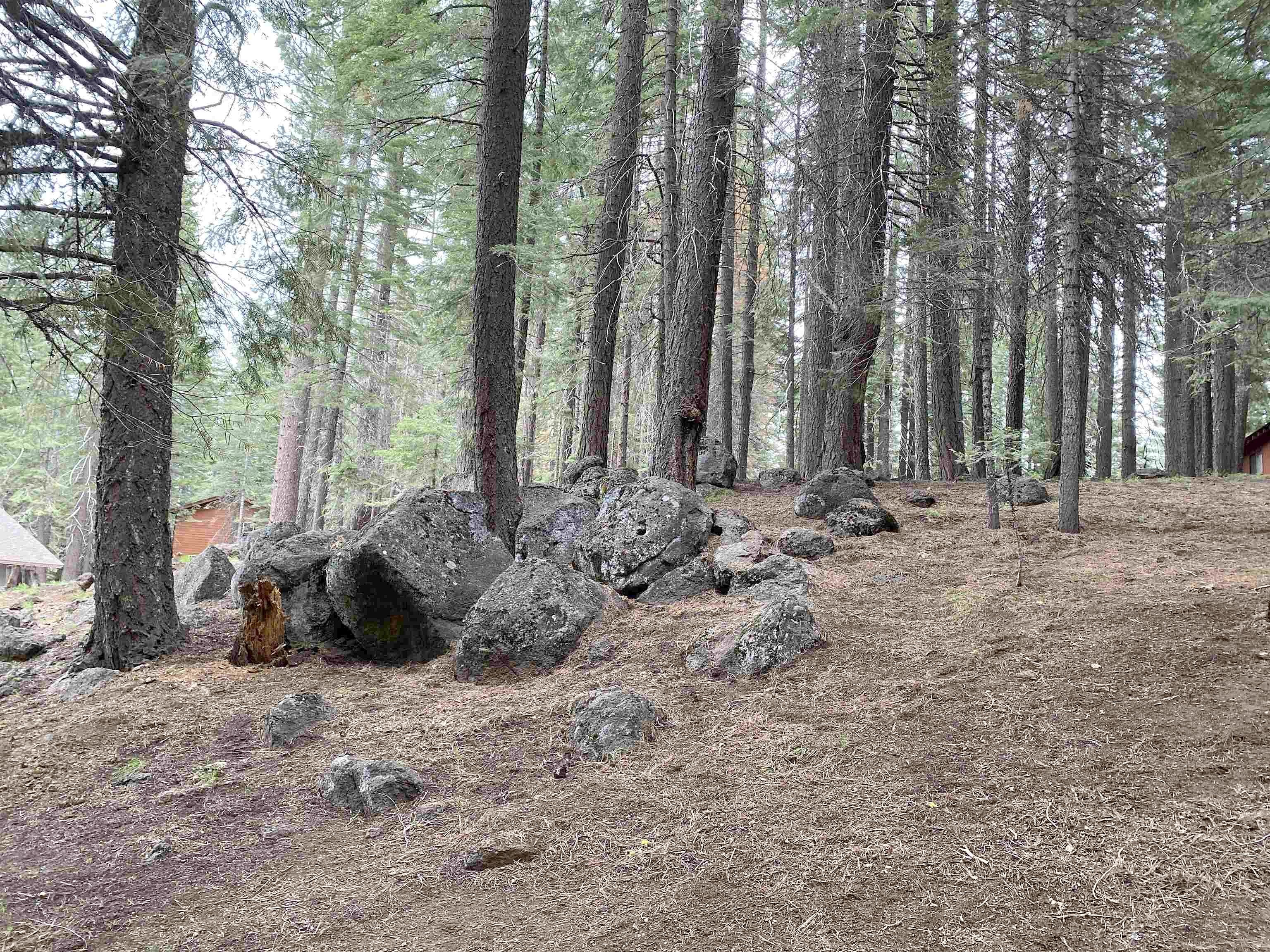 128 Lake Almanor West Dr  