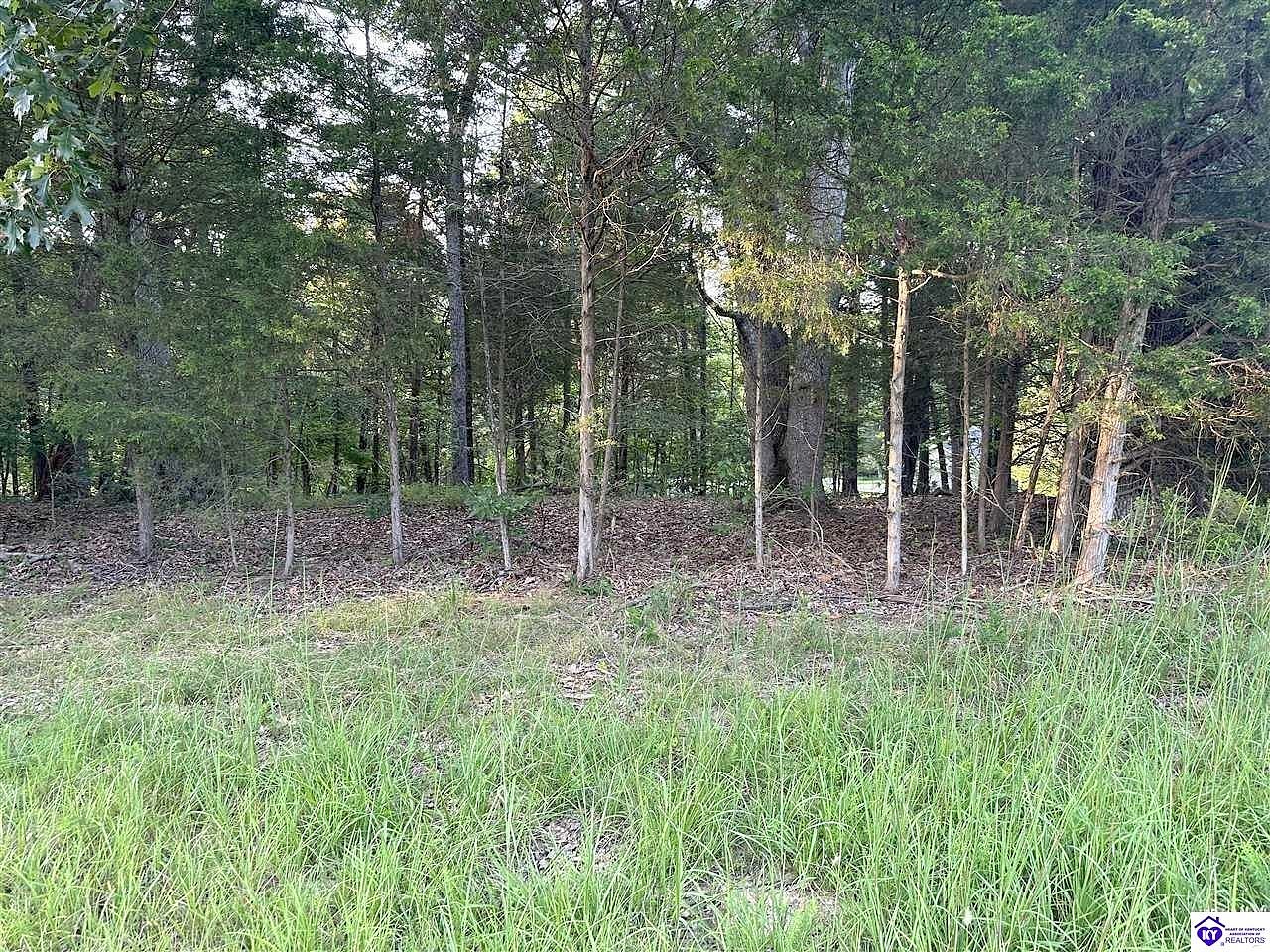 Lot Unit 539 Strawberry Hl Dr