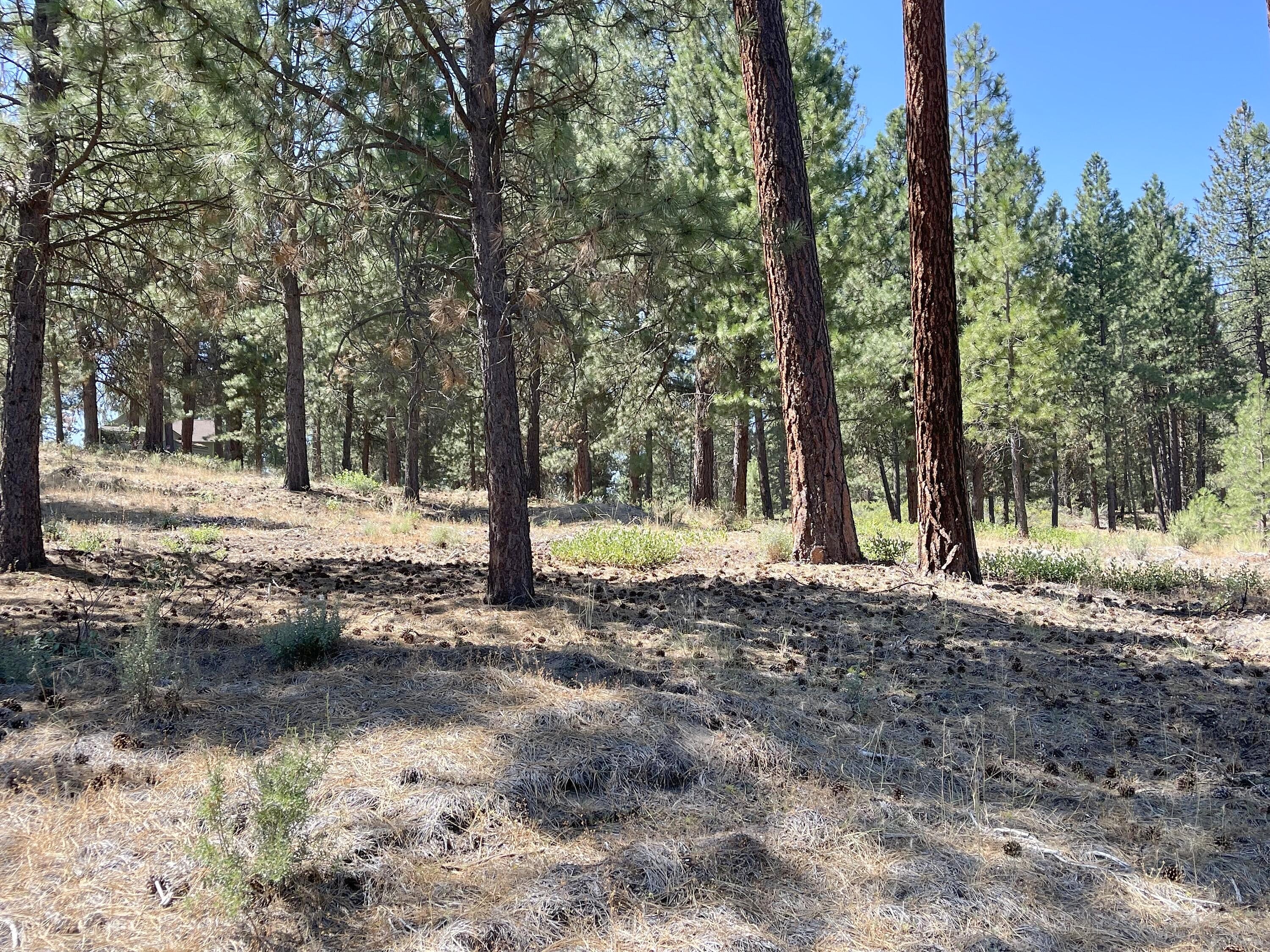 Incline Drive Unit Lot 22