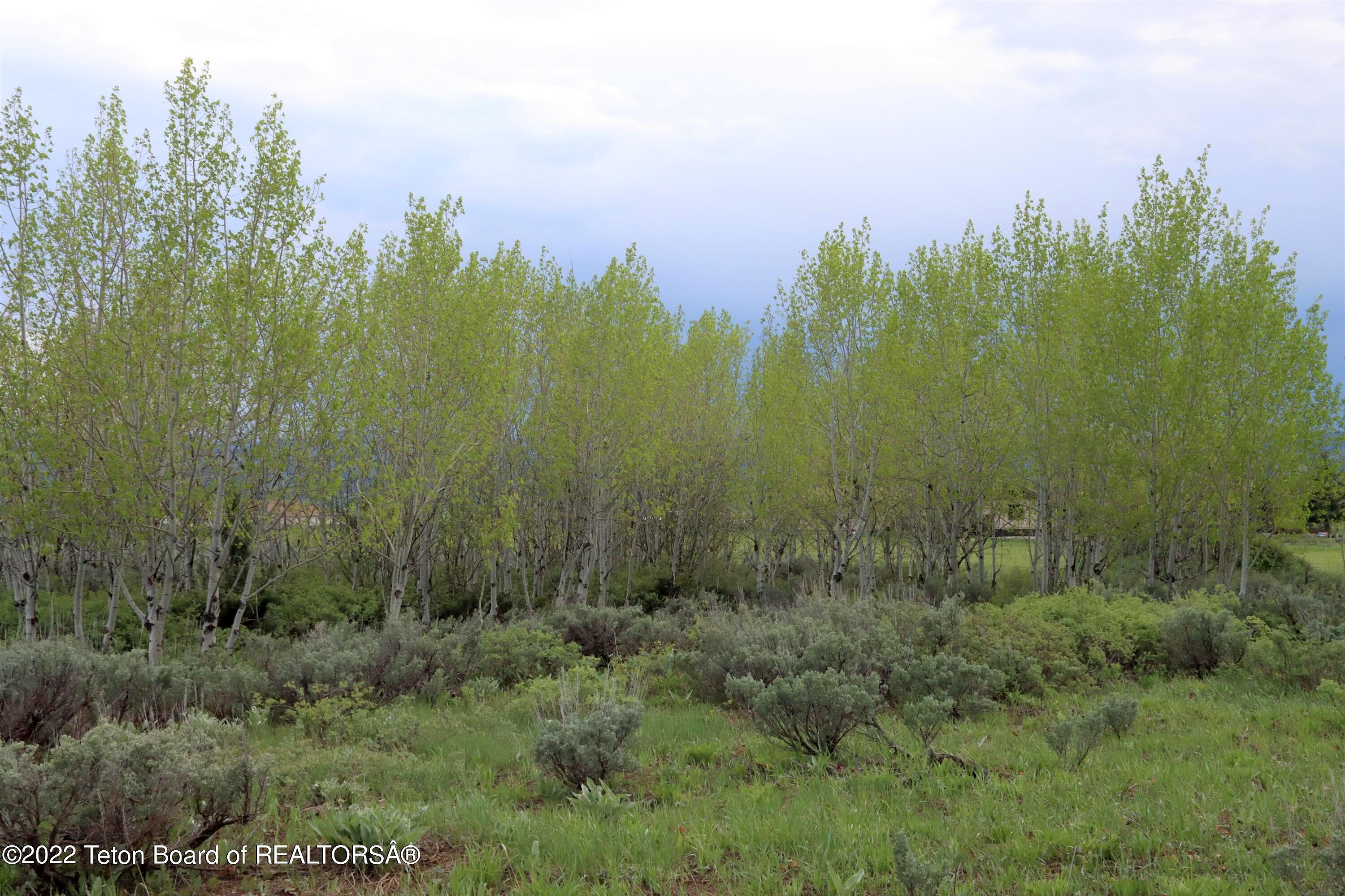 189 LAST CHANCE LOT 95 Dr