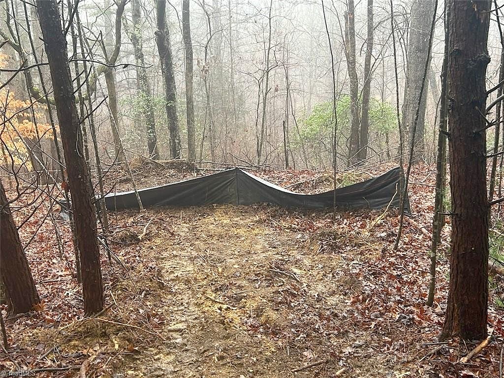 00 Whitaker Chapel Rd Unit 1  