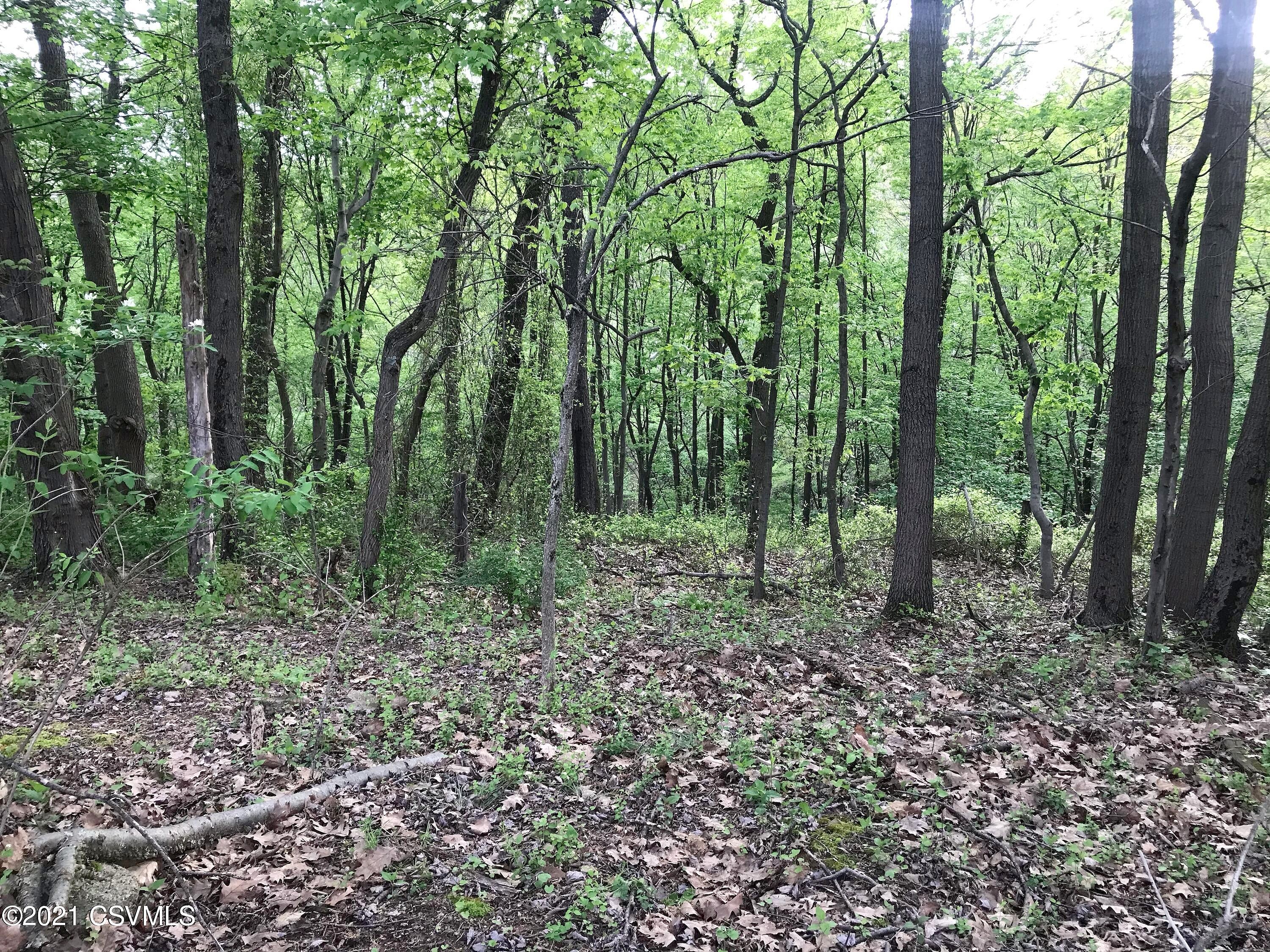 LOTS 41/42 WILD CHERRY Ln  