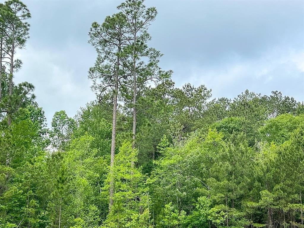 0 FM 2937/Old Arco Rd  