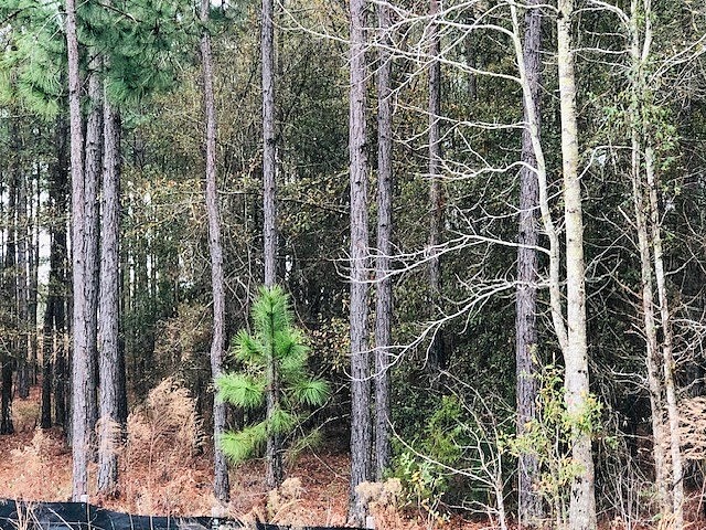 5 18 Ac Bobby Williamson Rd