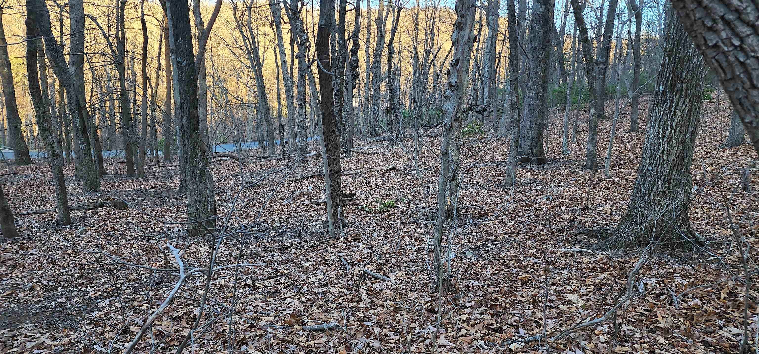 Lot 71 Serpentine Dr  