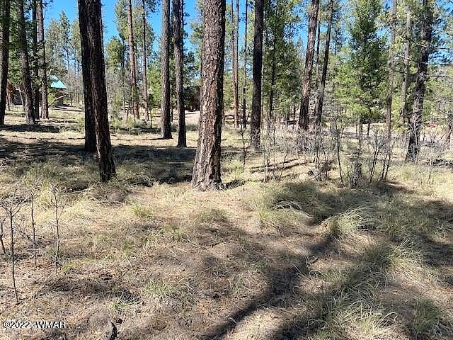 000 COUNTY ROAD 2191 Unit Lot 46  