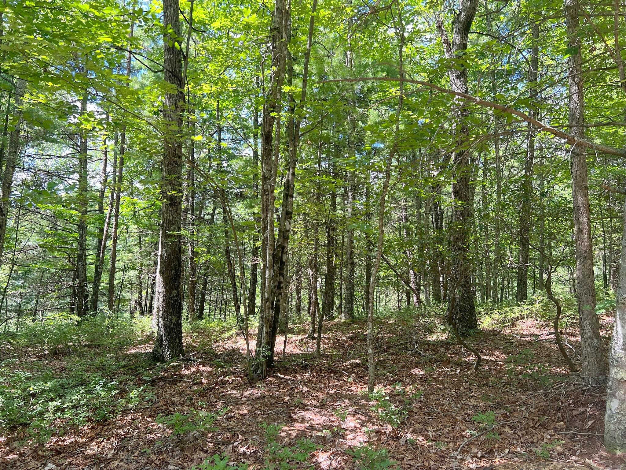Lot 42 Waiteville Rd  