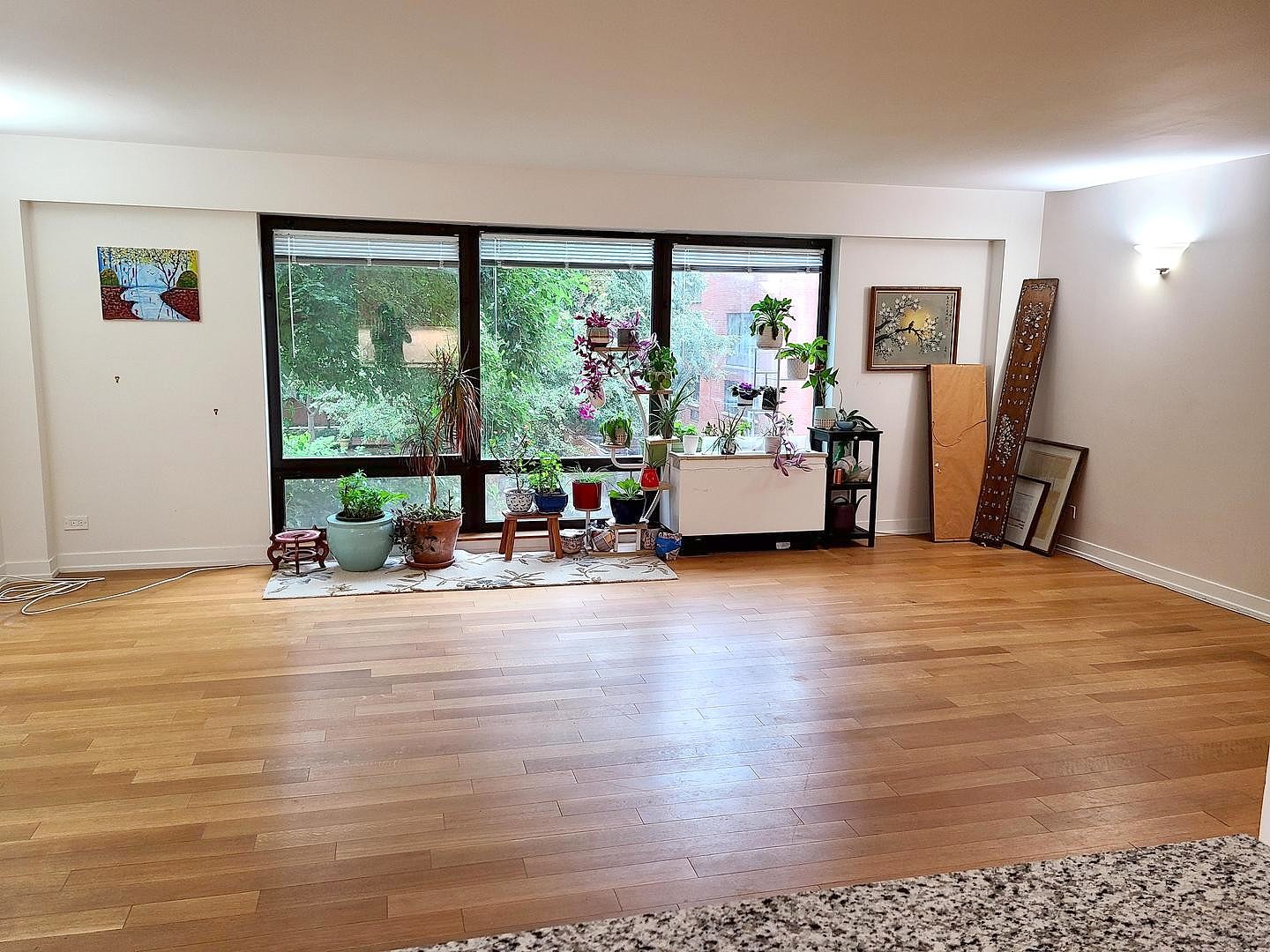 1115 S Plymouth Ct Unit 303  