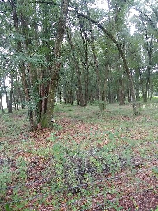 35140 County State Rd 52