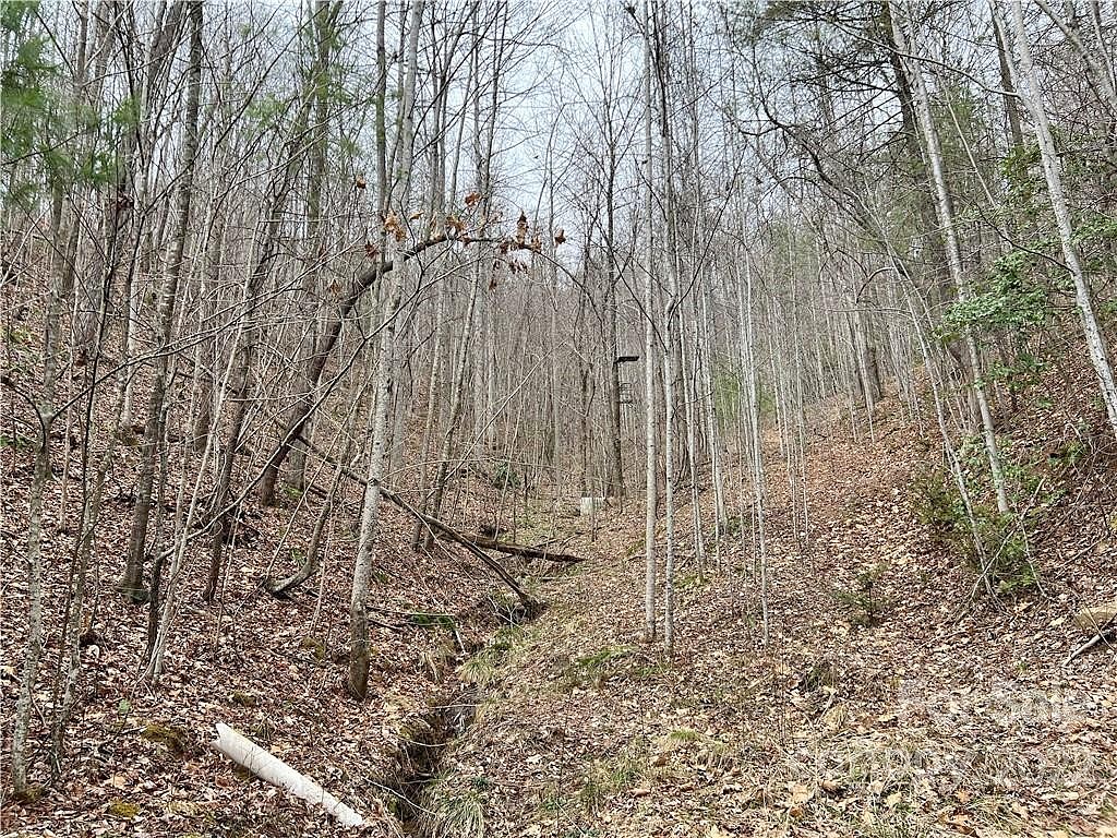 V/L Blowing Rock Blvd Unit 2  