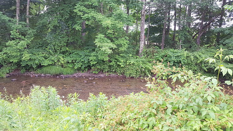 5411 S STEPHENTOWN RD  