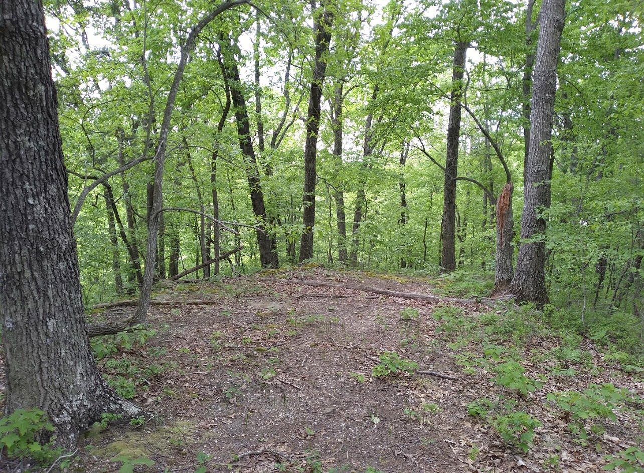 1237F High Rock Rd  