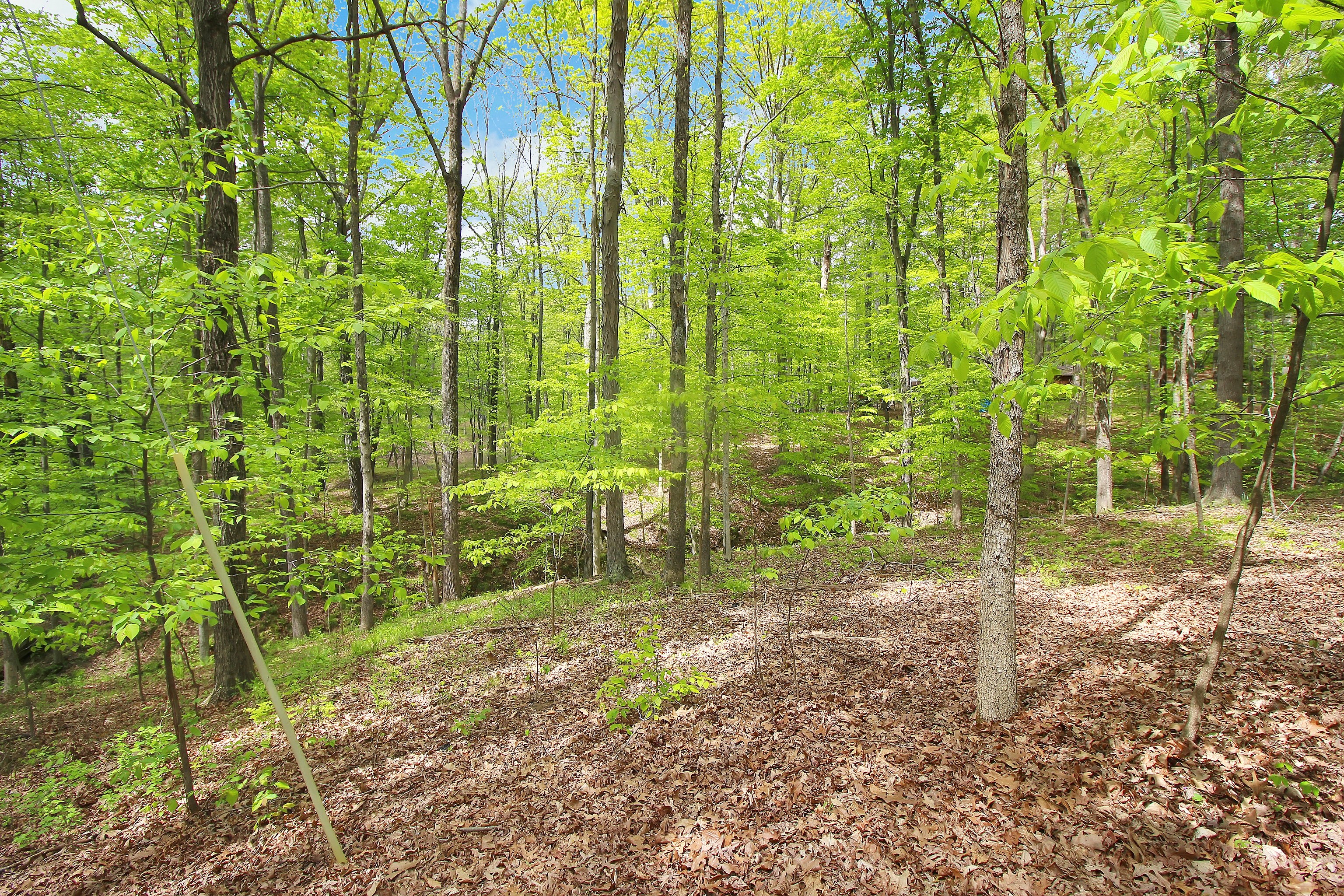 1200 S 650 W County Rd  