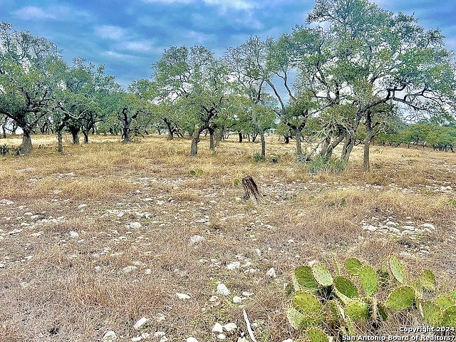 LOT 8 Cattlemans Xing  