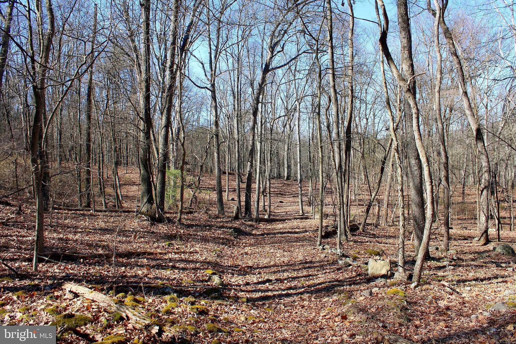 LOT 7 Hamilton Ests Dr