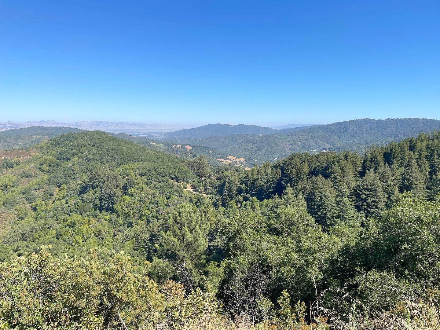 00 00 Redwood Retreat  