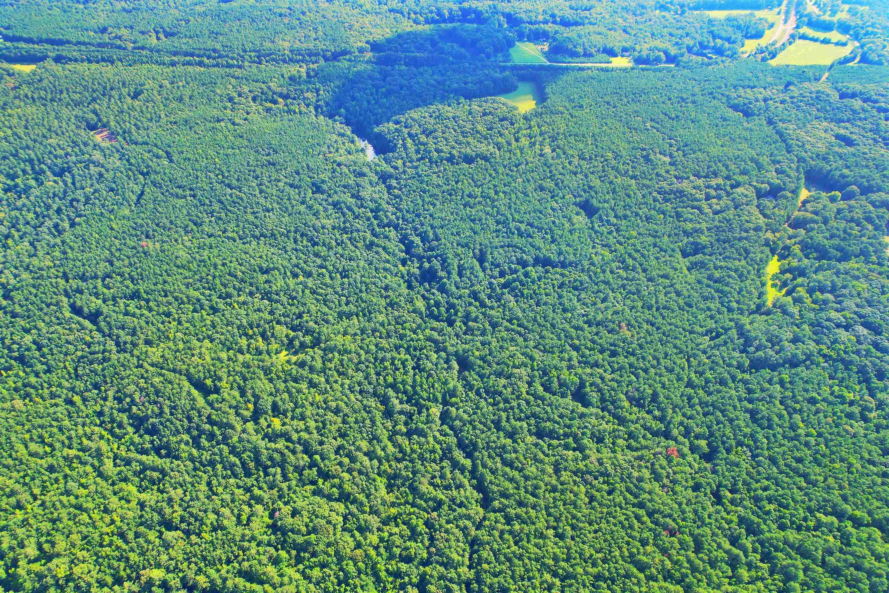 198 62 /- AC Apalachee Woods Trl  