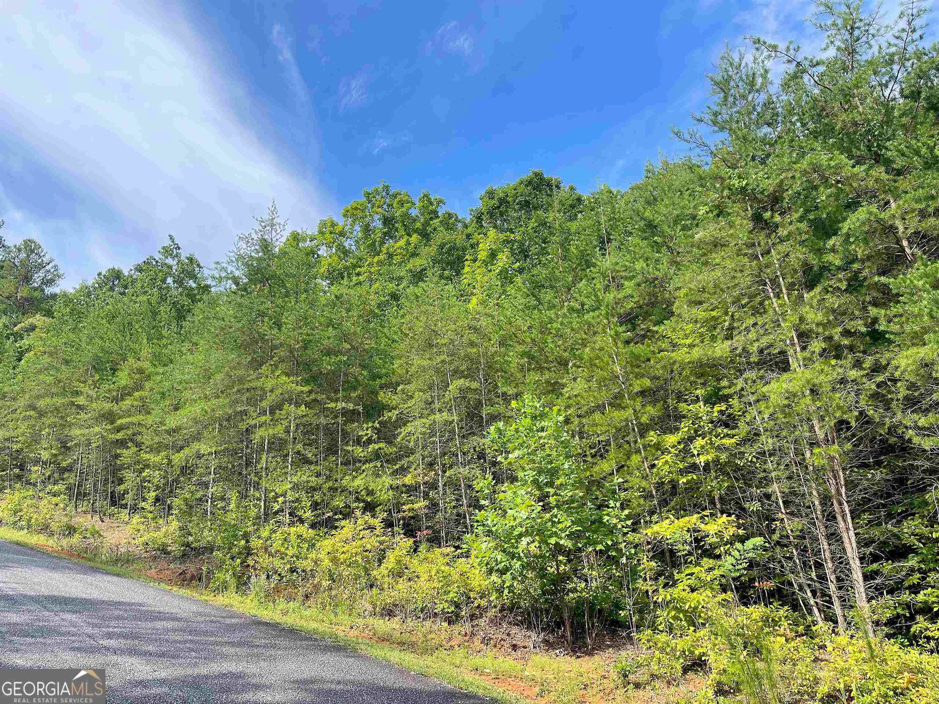 LOT 21 Orchard Hls Dr  