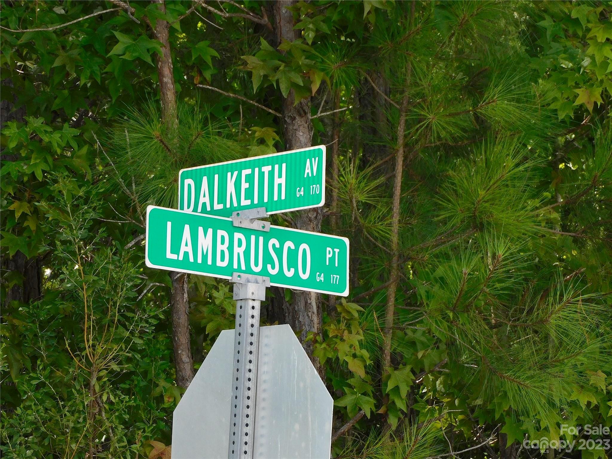 00 Lambrusco Pt Unit 61  