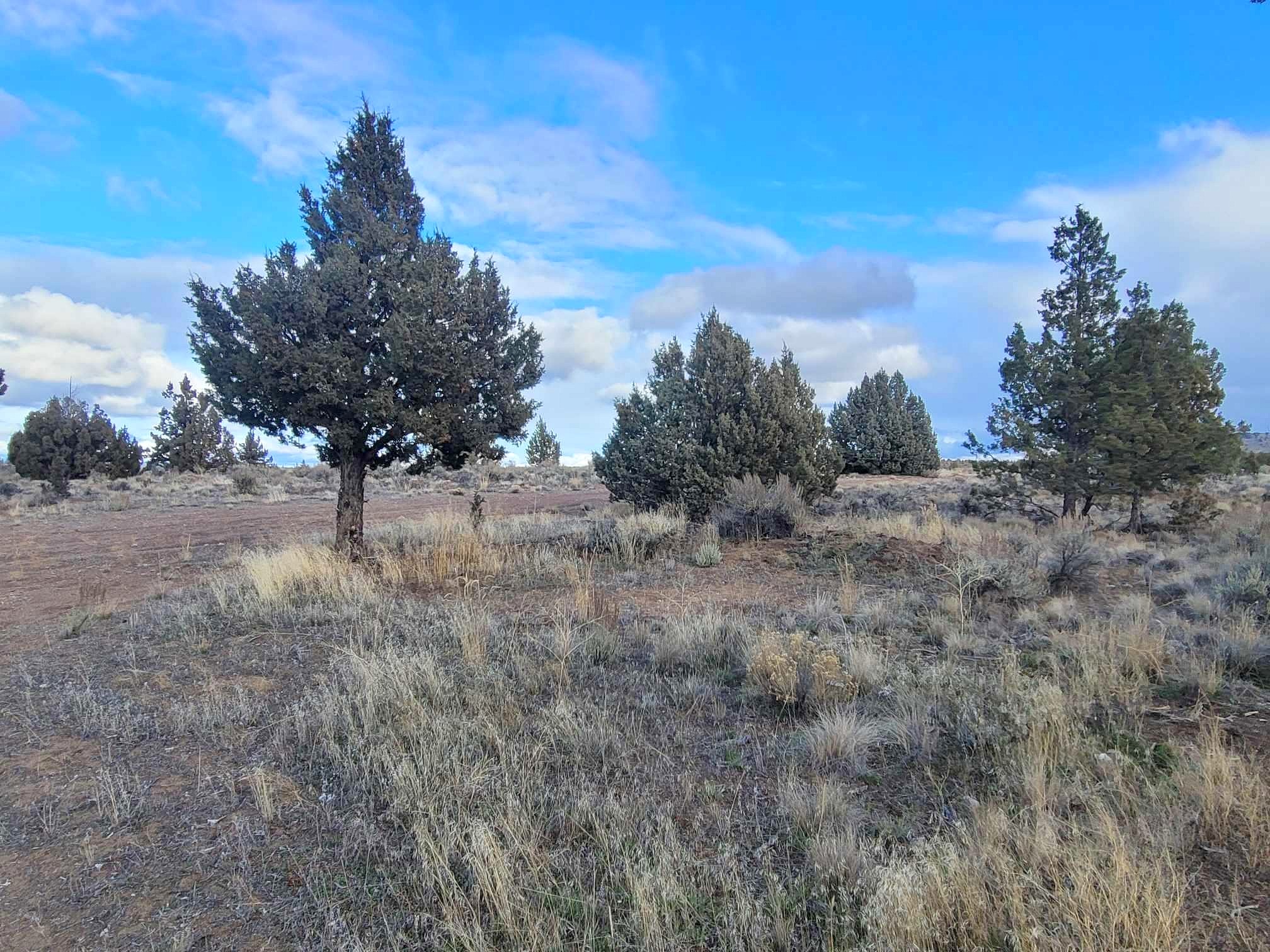 C C Dunham Rd Unit 19673  