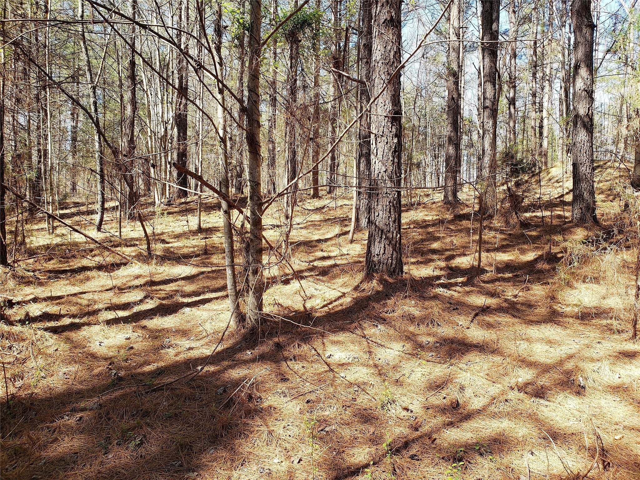 0 Bitterroot Cir Unit 227  