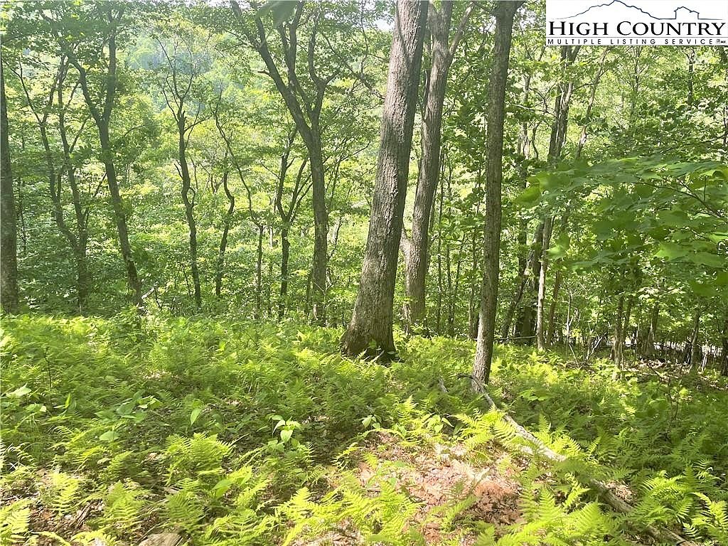 Lot 66 Bob Timberlake Dr  