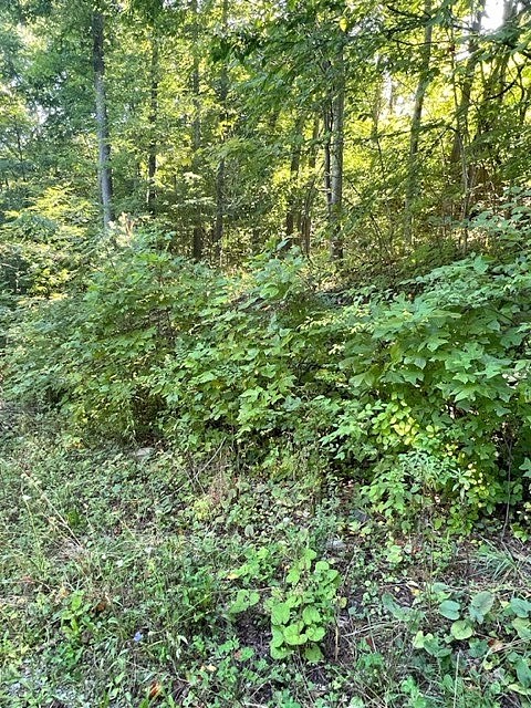 0 TBD East River / Scenic Driver  