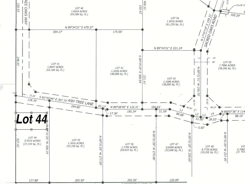 21290 Ash Tree Land