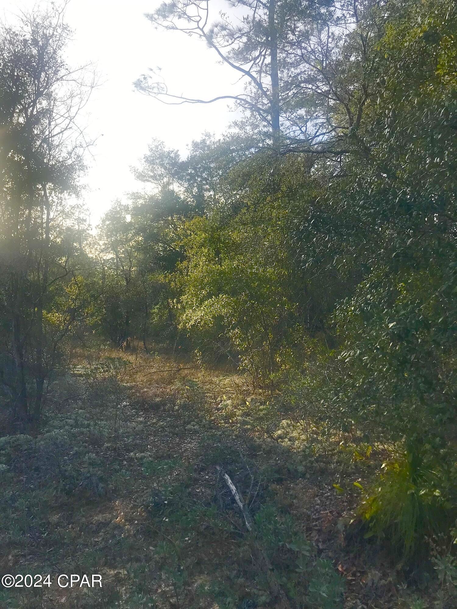 0 Dunford Circle Unit Lot 13