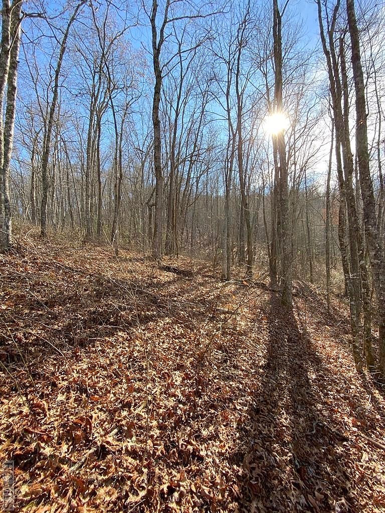 Lot 167 Lake Frst Dr