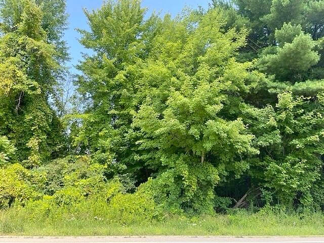 13505 Leonard St Parcel 1