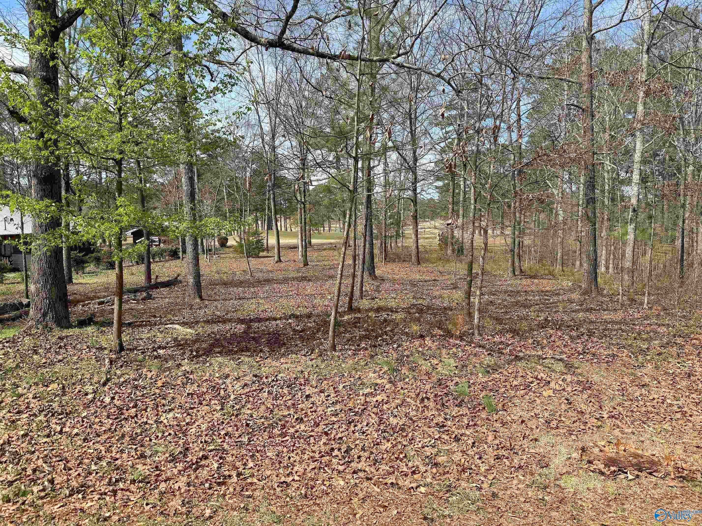 21 County Rd 380