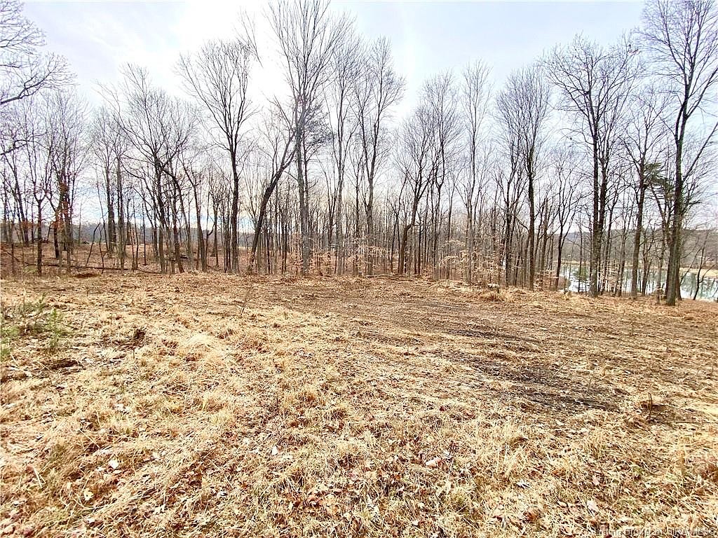 S Shady Lake Trail (Lot 13) Trl  