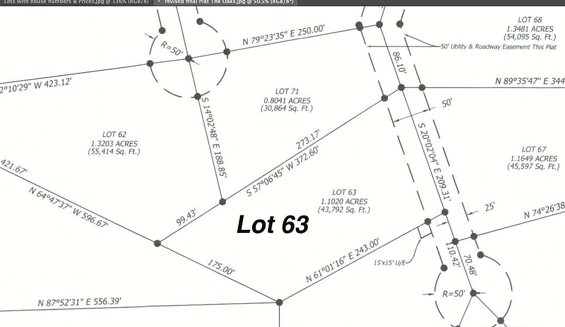 20327 Blackjack Spgs Trl  