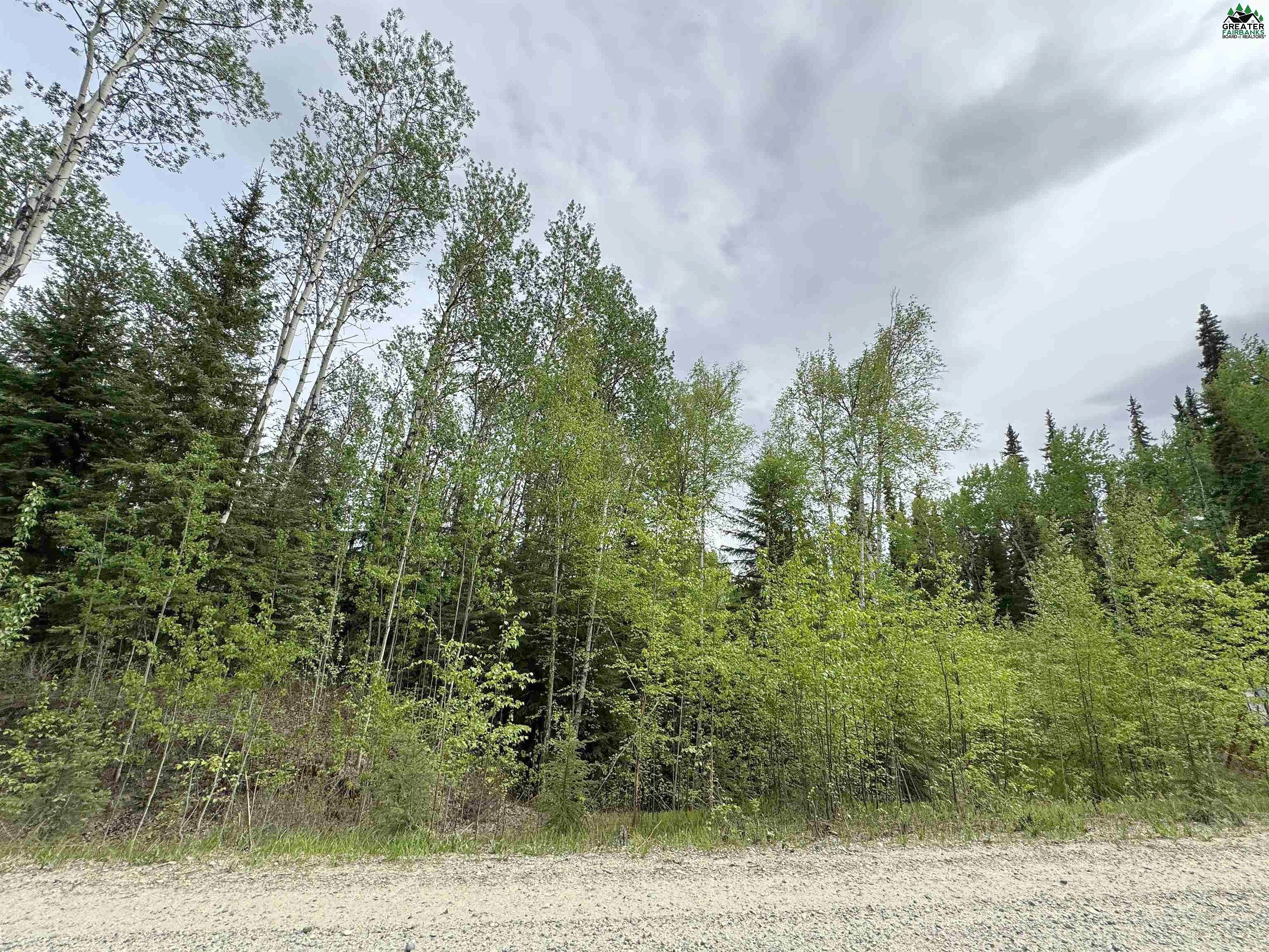 L19B5 NHN CANTERBURY Dr  