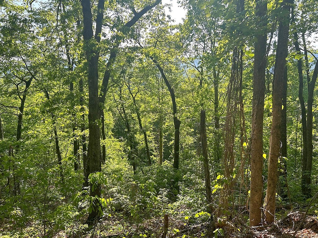 Lot 4 Biltmore Cir Unit 4  