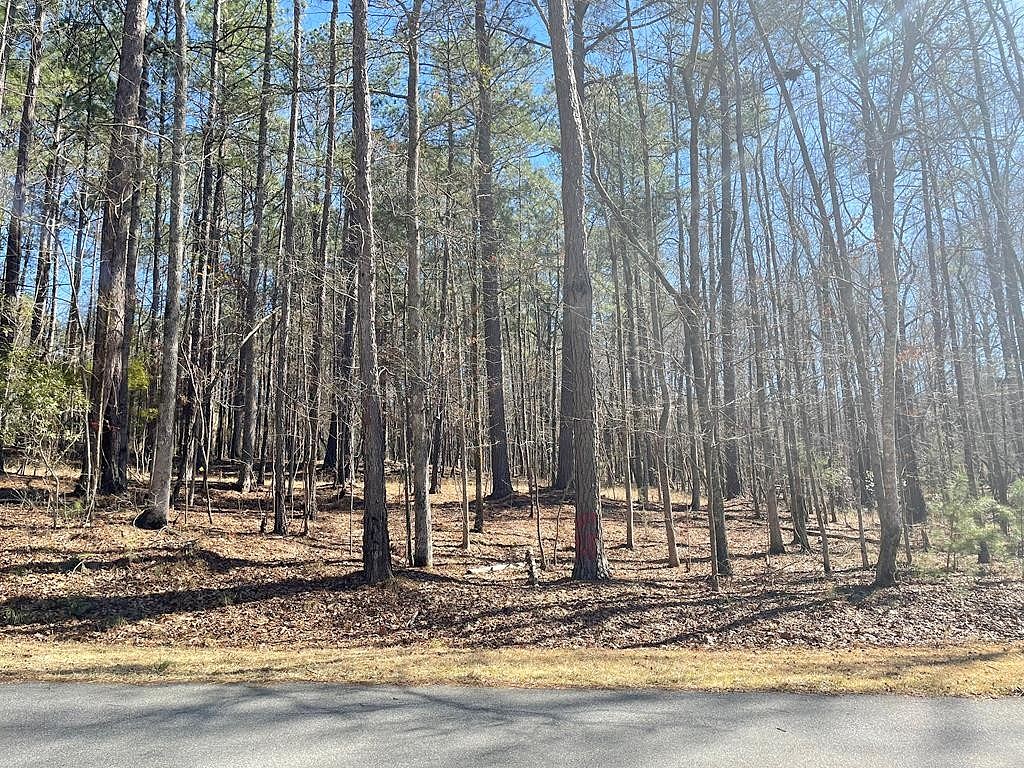 Lot 149 PIEDMONT Lk Rd  