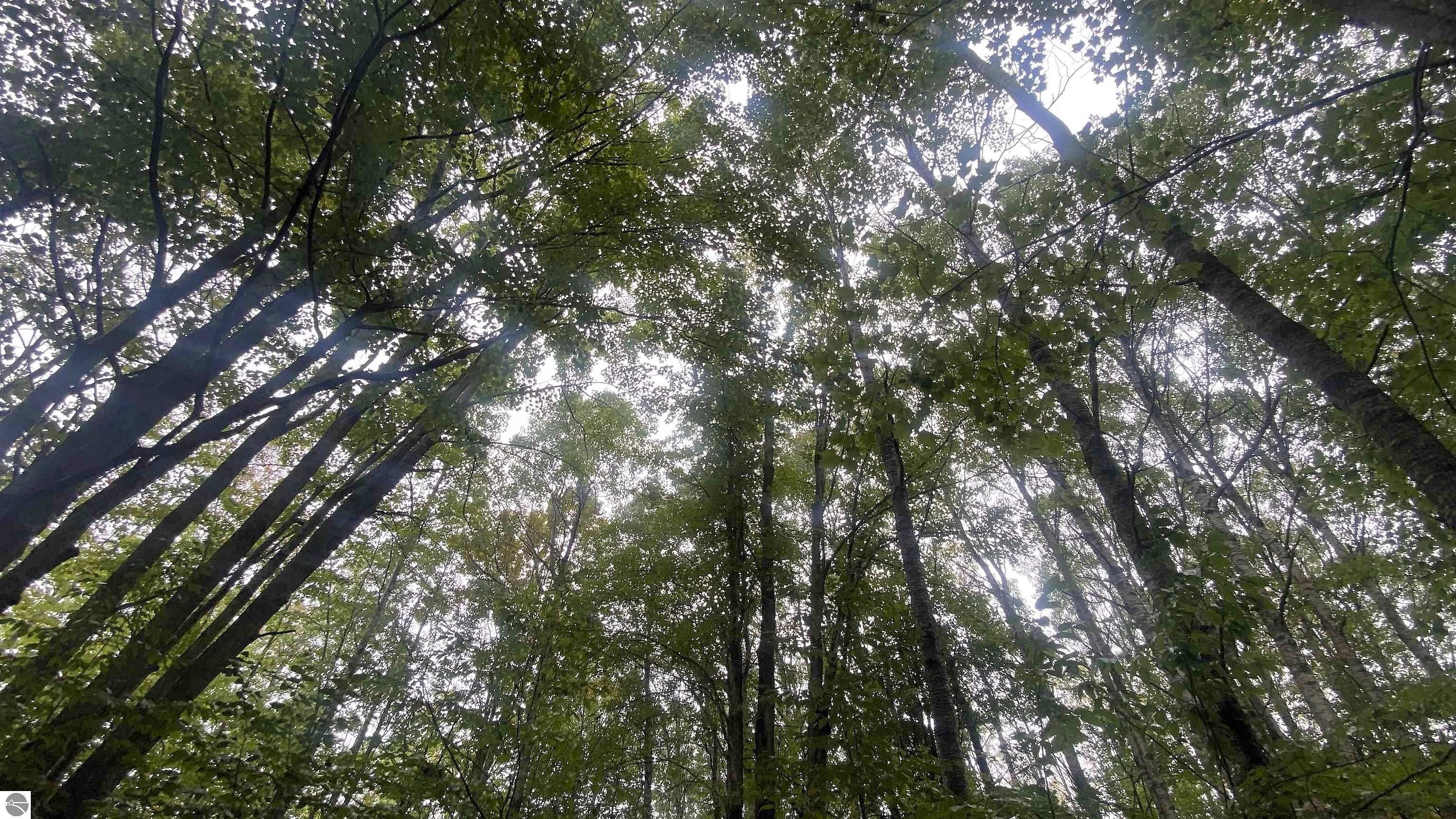Lot 187 Wilderness Dr