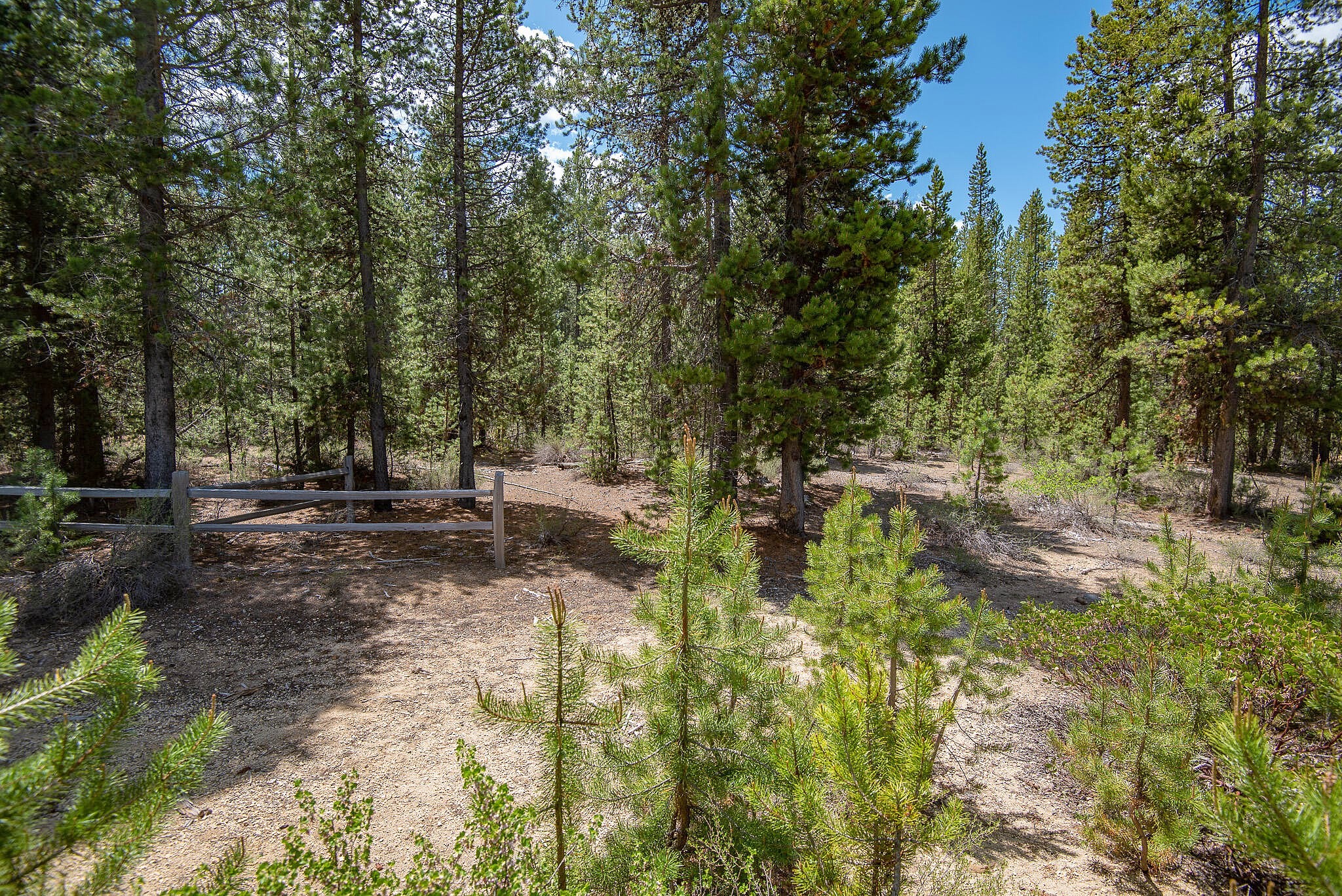 Crescent Moon Drive Unit Lot 20