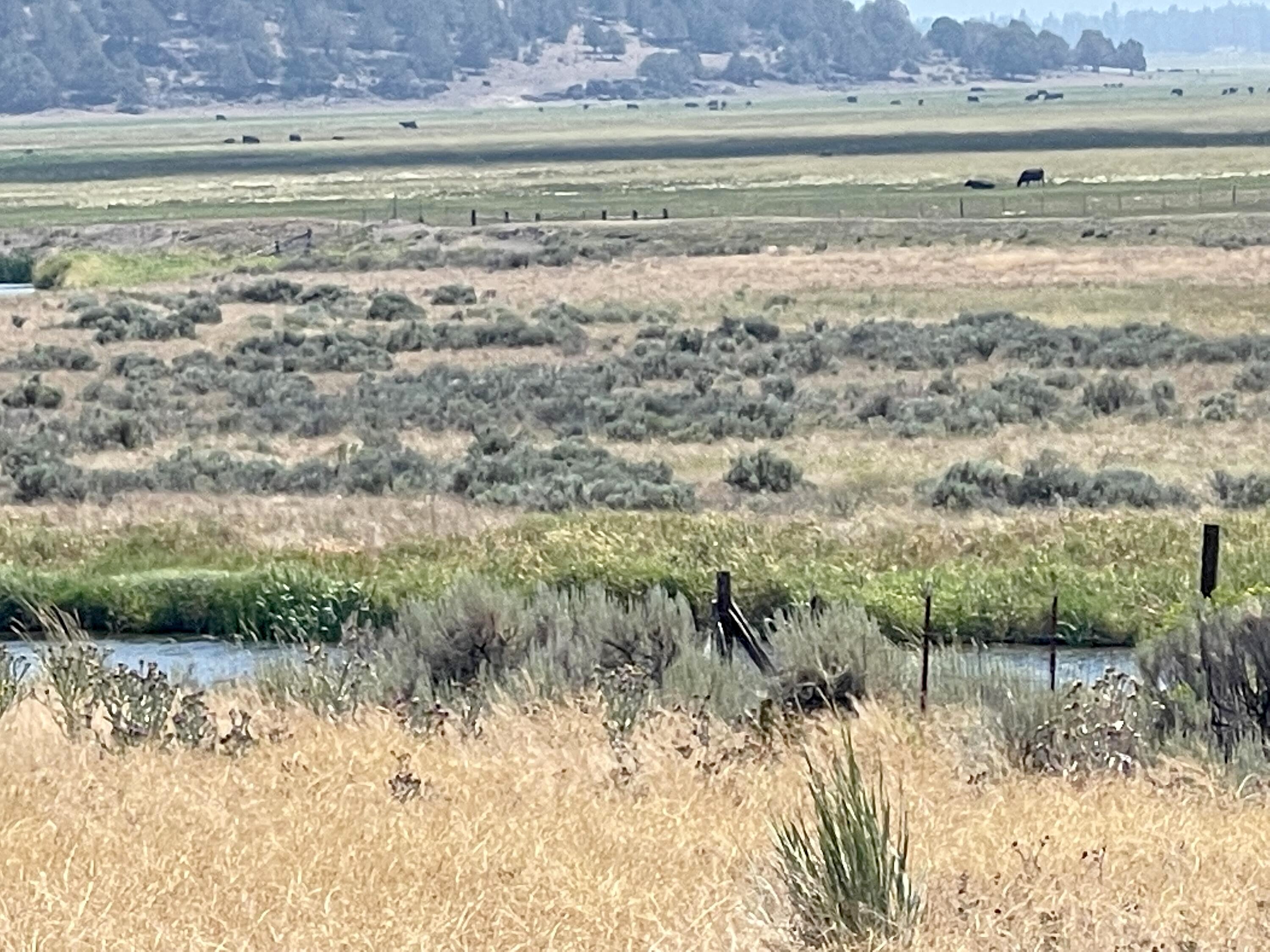 Clearwater Drive Unit Block 78 Lot 30  