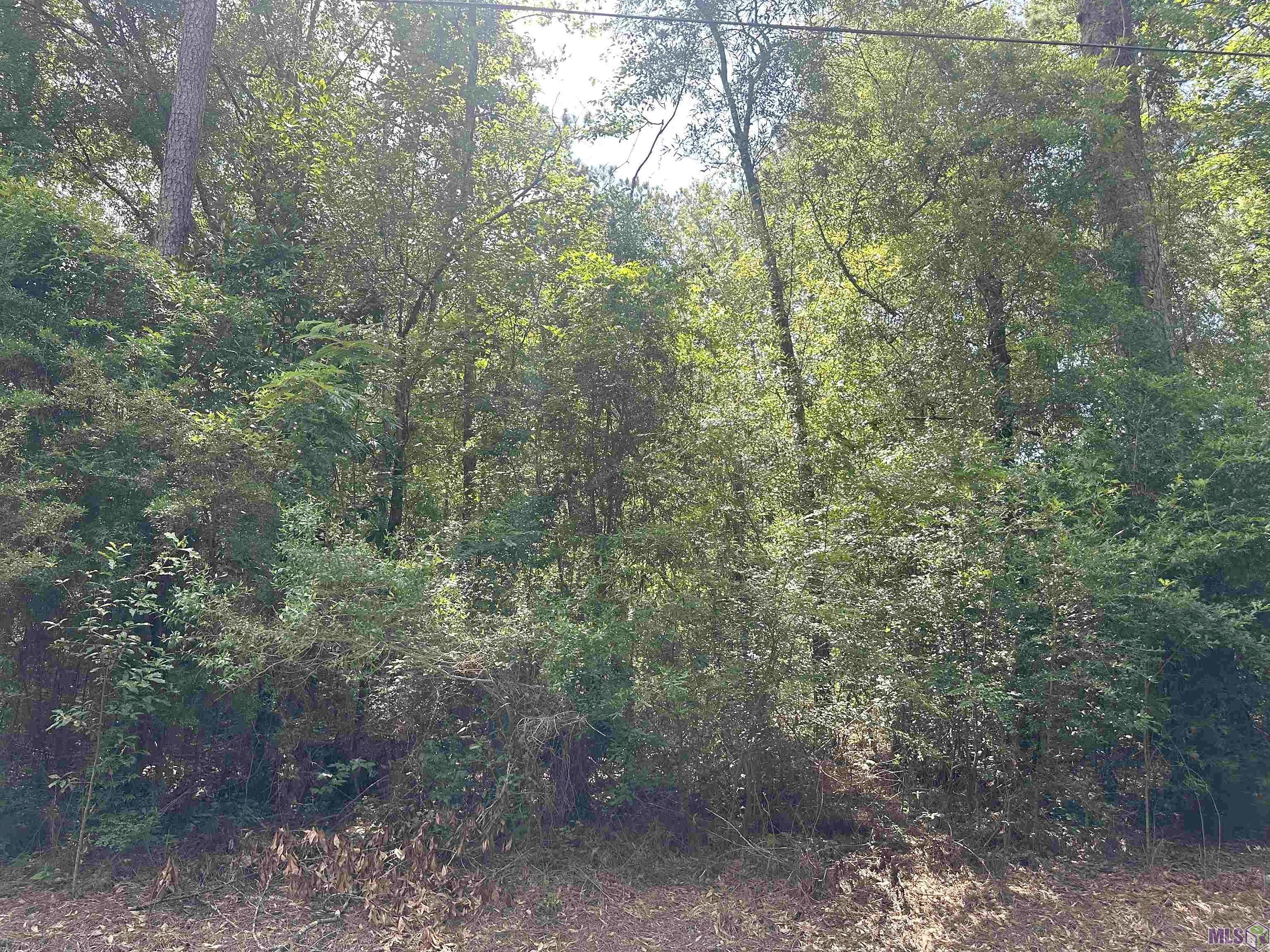 26 85 Acres TRAYLORS Trl RD