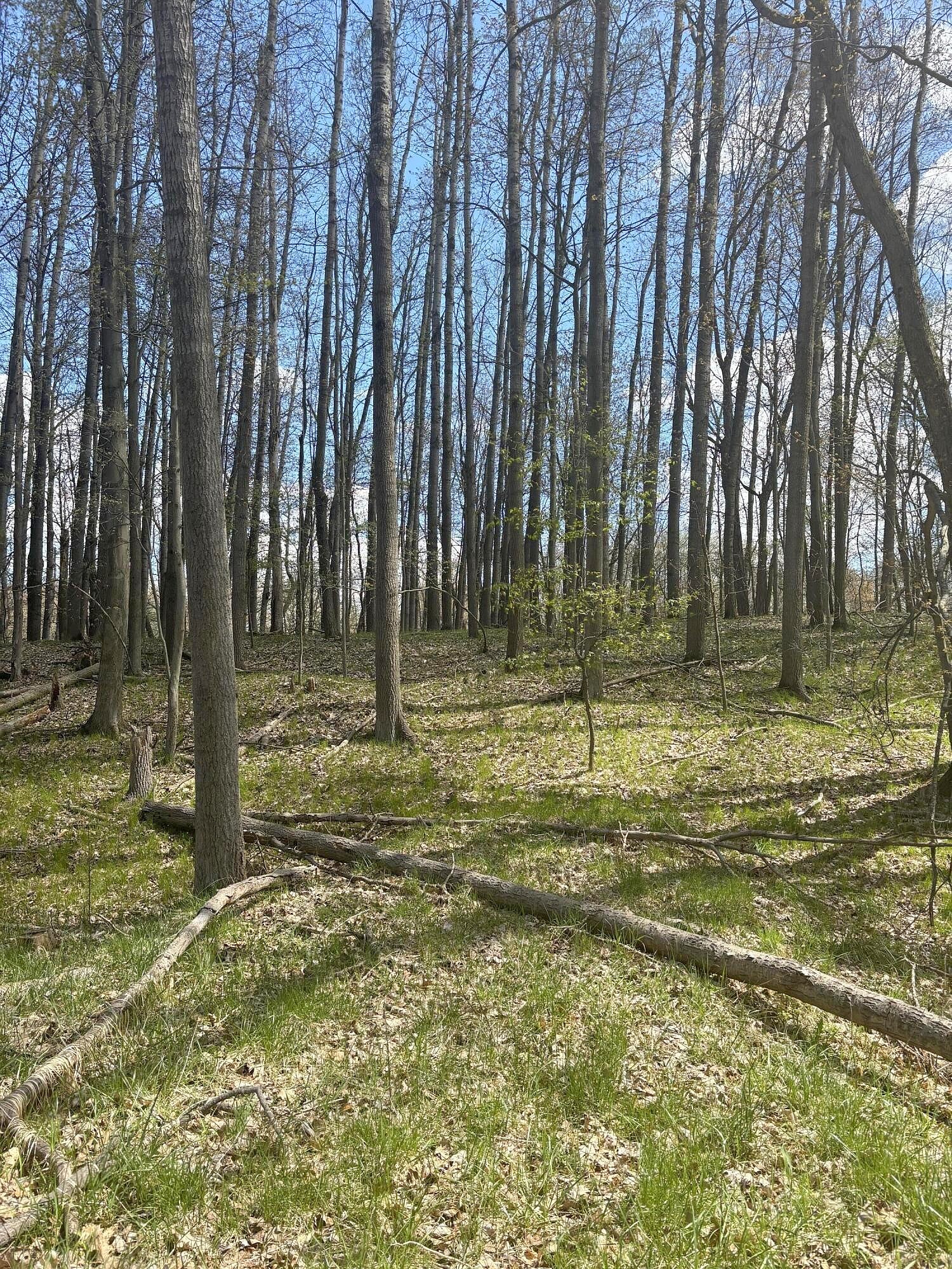 9690 PERE MARQUETTE DR  