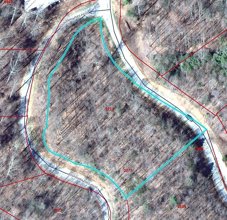 312 BOUNDARY TREE Pass  