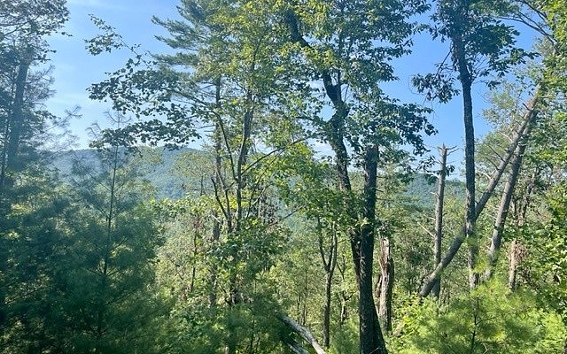 LT 43 Ridge View Way