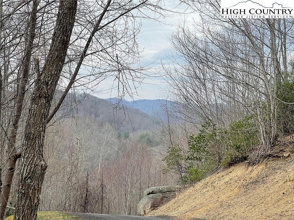 Lot 41 Tbd Pine Crk Pkwy