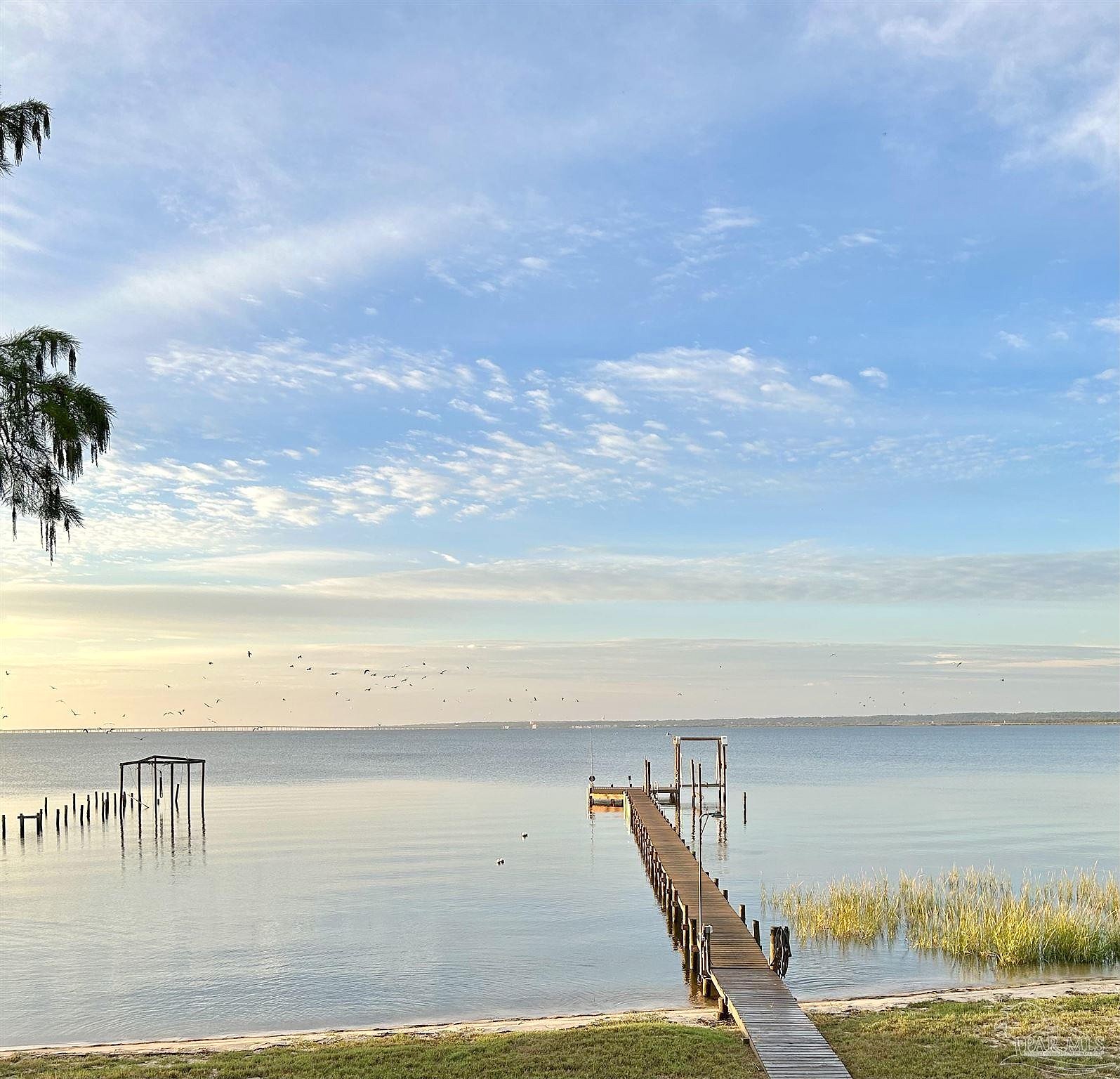 3753 Andrew Jackson Dr  