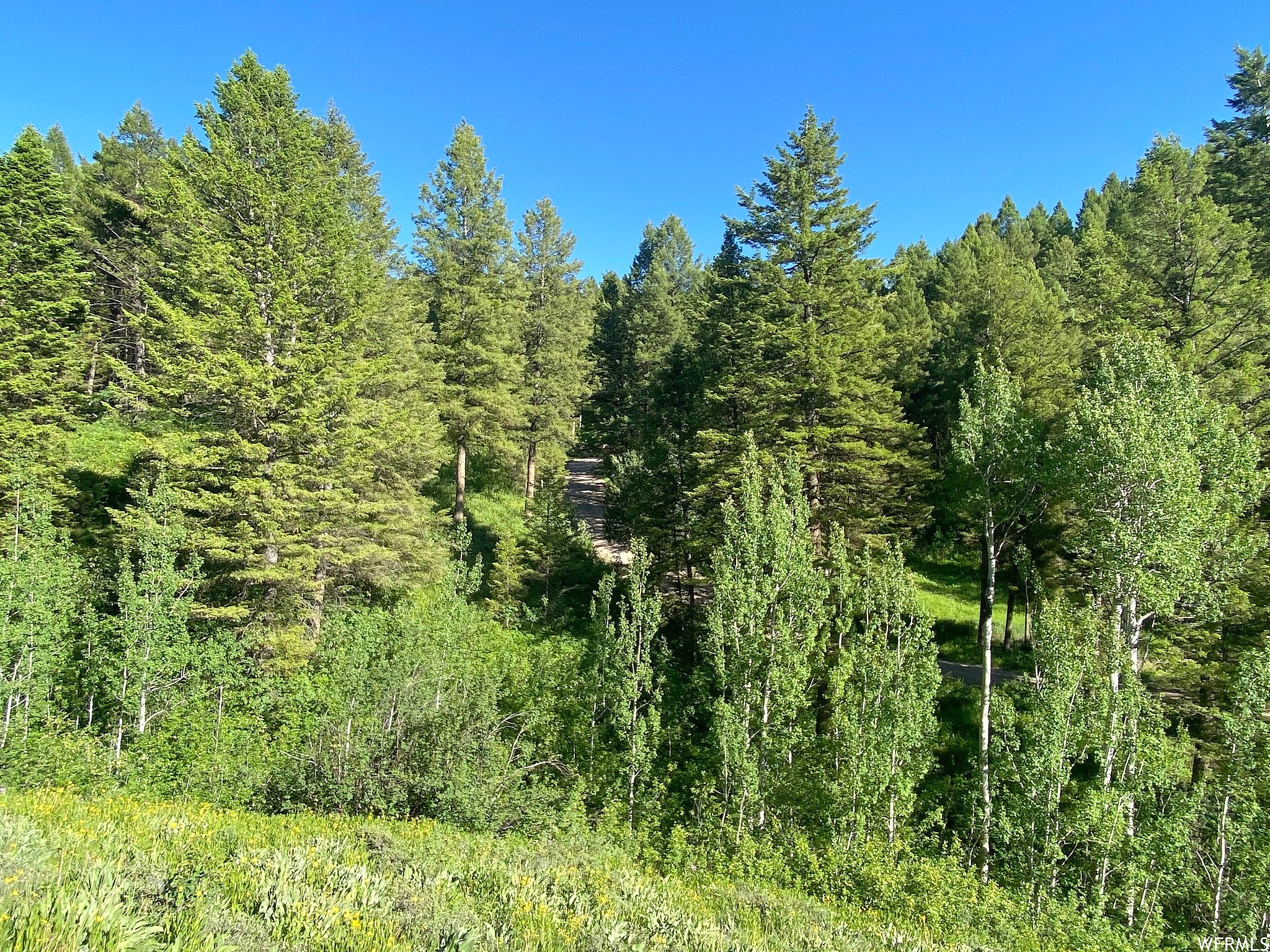 800 Grover Dry Farm Rd