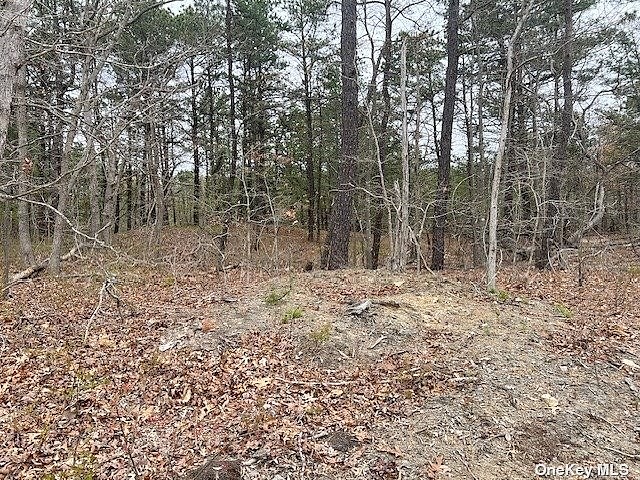 Lot 1 N Jerusalem Holw Rd