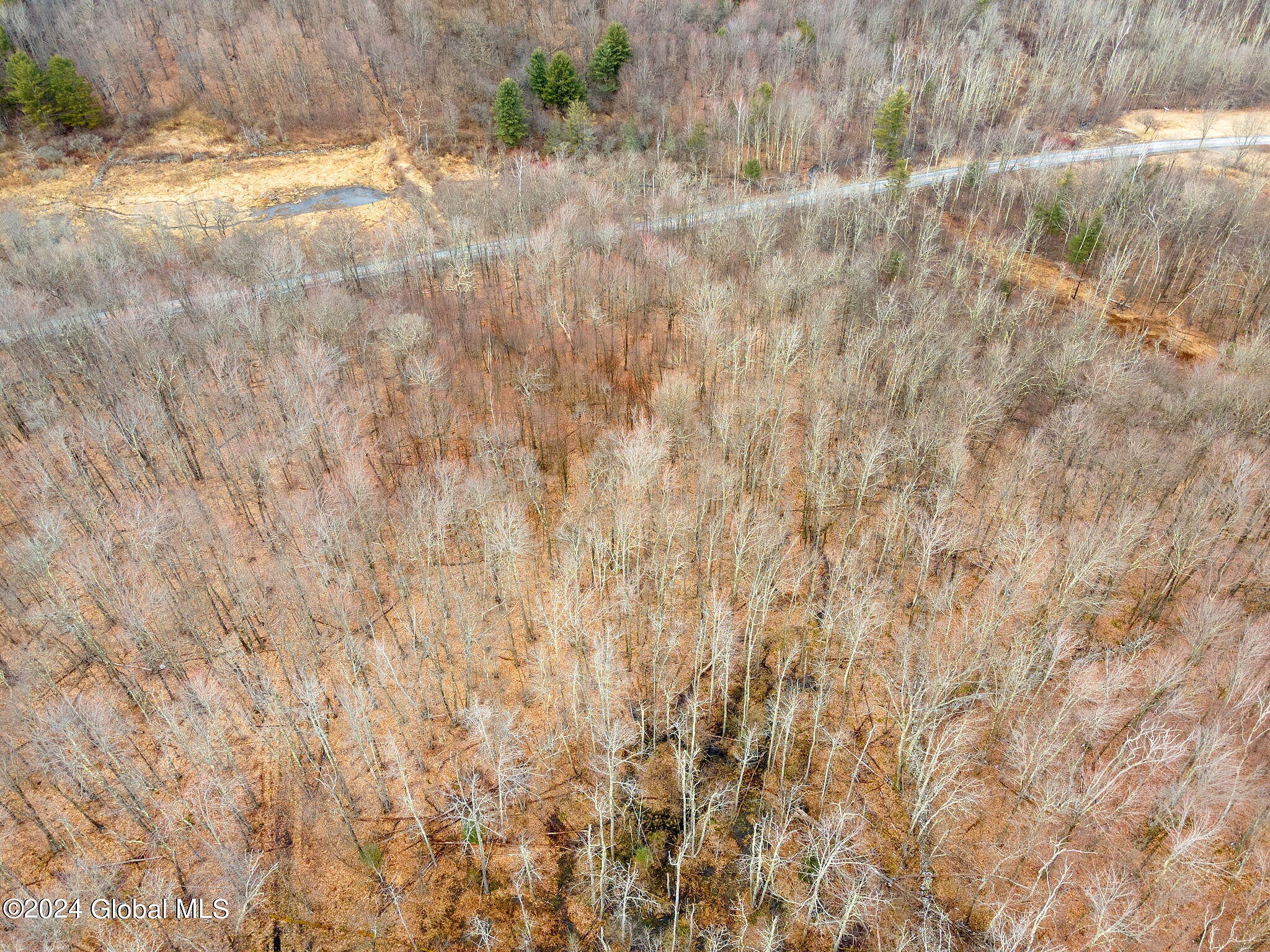 L2 29 Blenheim Hl Rd  